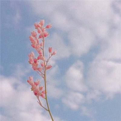 71771威尼斯.Cmapp下载